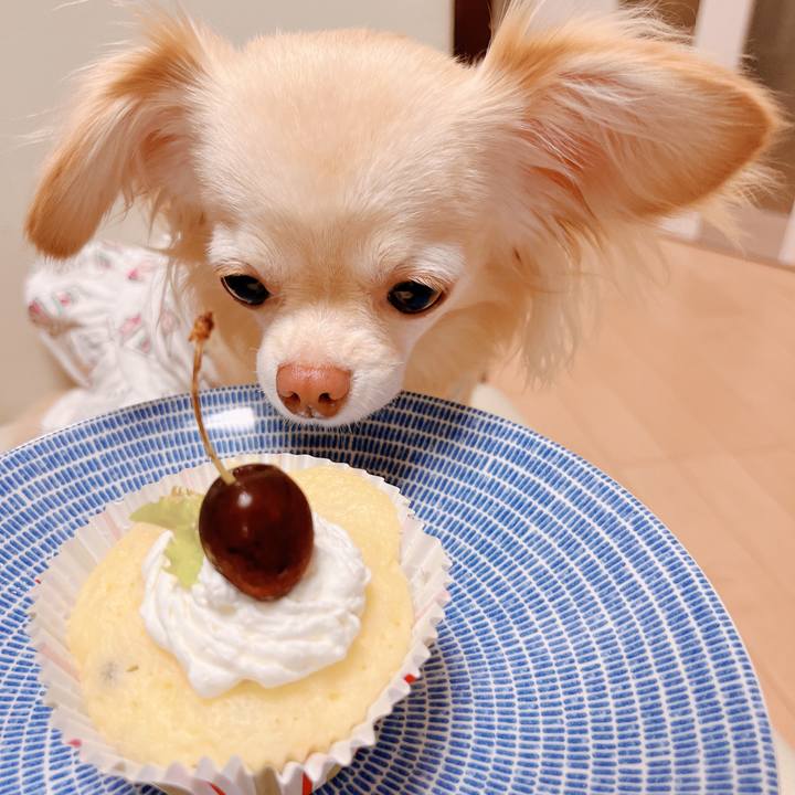 30cee2e5 2087 400b 97a8 d9bf78efca29 1654511647033