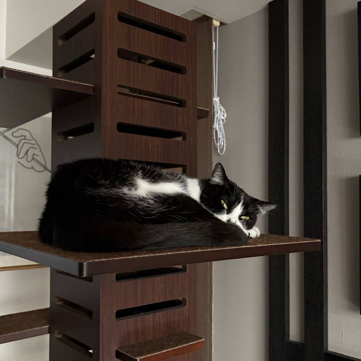 30cf05a0 0fb3 492d b6da 9b0b77f2aebb 1761451269419