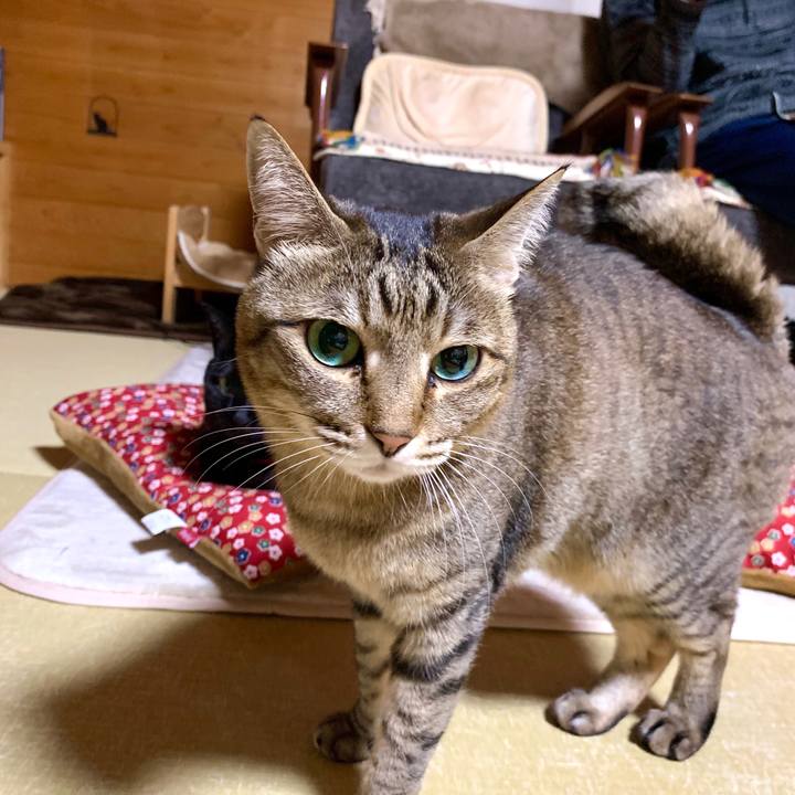 30cf1ecb 8c3e 4088 99b4 52219465dff1 1583589743342