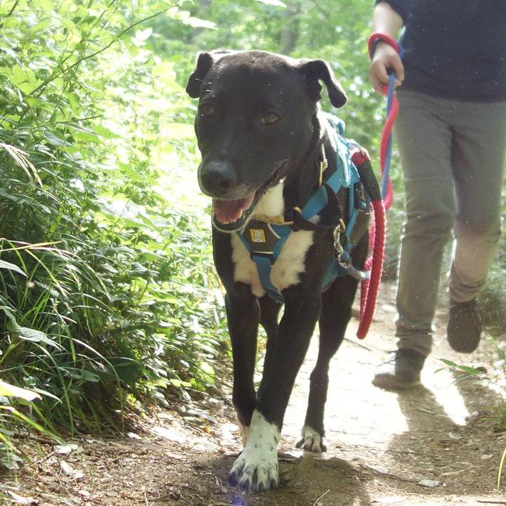 30cf4c89 defd 406f 82cf 790e4409dfb3 1620619307238