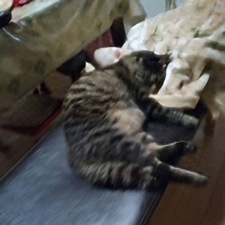 30cf8ce3 8886 42d8 8a75 434da2b4a662 1720649382480