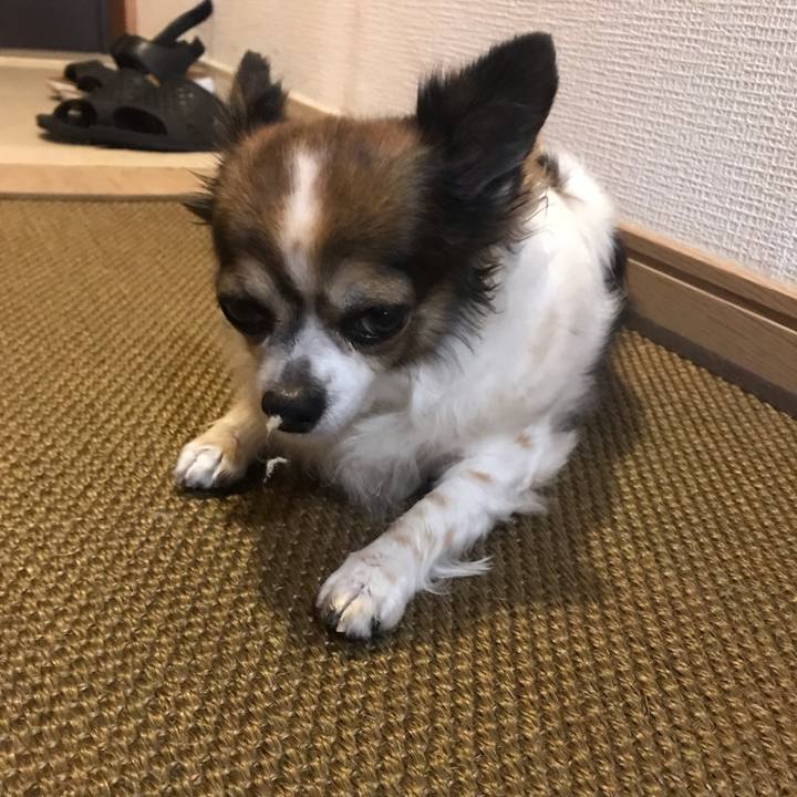 30cfa762 877b 49cb b2b5 f65bd2ed1435 1664763243516