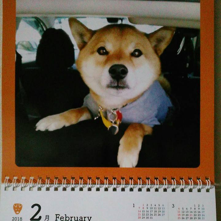 30cfdf63 35fb 4b08 b70c 65196c29ad0a 1517572145927