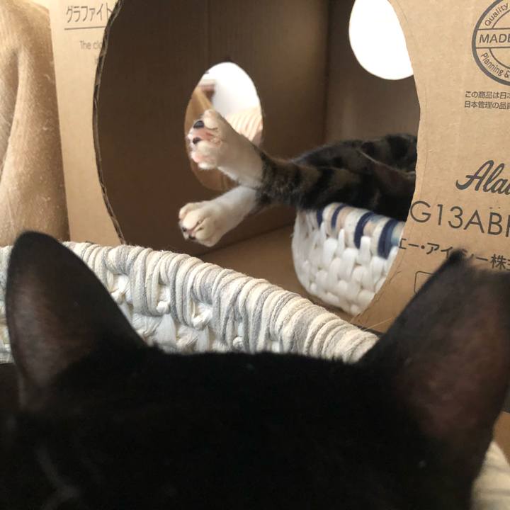 30cff582 aba8 4c34 b257 84962b453454 1597503060601