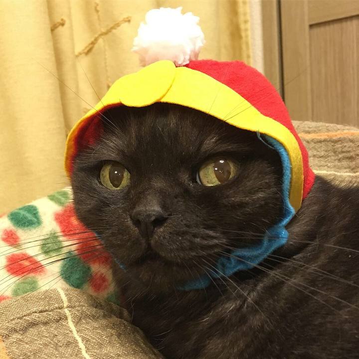 30d0282e 0539 4576 926e c8b0ac69e639 1537018182419