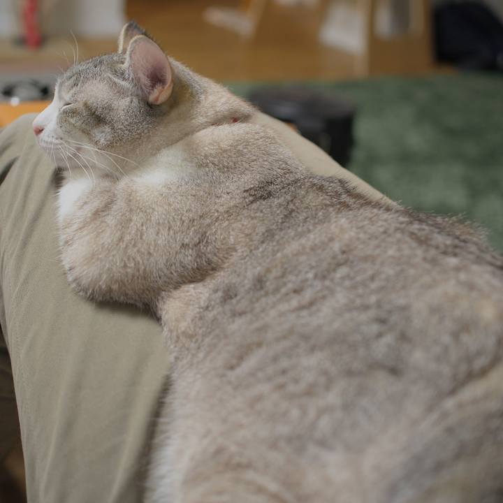 30d03750 dbb1 4e3d bc58 52dcc105dd8b 1566794136276