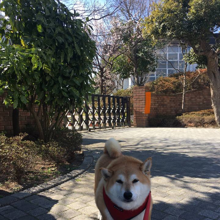 30d05d59 646c 42d9 b0d2 befbe0f6ff24 1614224991069