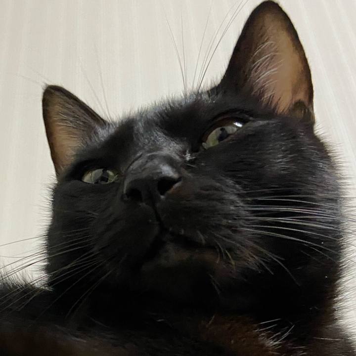 30d07da9 7f7d 49f6 90d3 fb0fae9e1db2 1668341826771