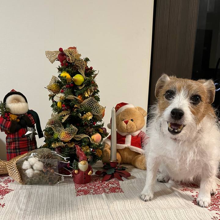 30d085f1 cd70 481b 83db 3ed182388f3e 1699178173838