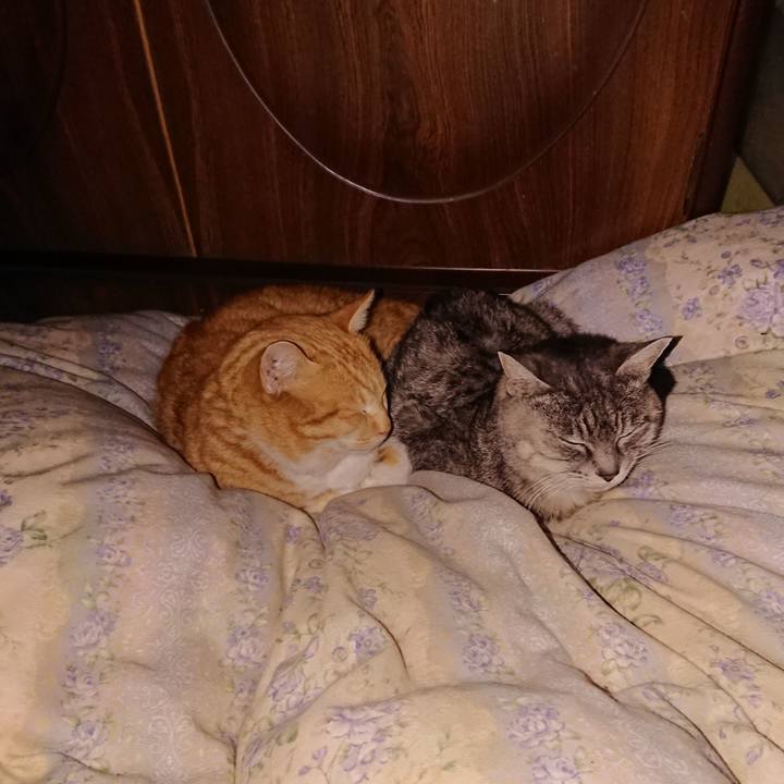 30d0dffe e149 476b aeaf 86feb2e9e3ff 1580067126356