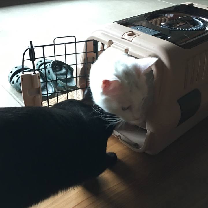 30d1144f 1c1c 4ce3 9026 e77165a0fe01 1511318753026