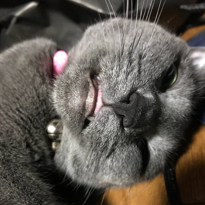 30d134b2 5c74 40b6 9752 9d74d91bf1d0 1530787278331