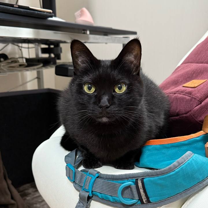 30d14052 4c21 4ef0 912f 163497f82e6e 1763256340601