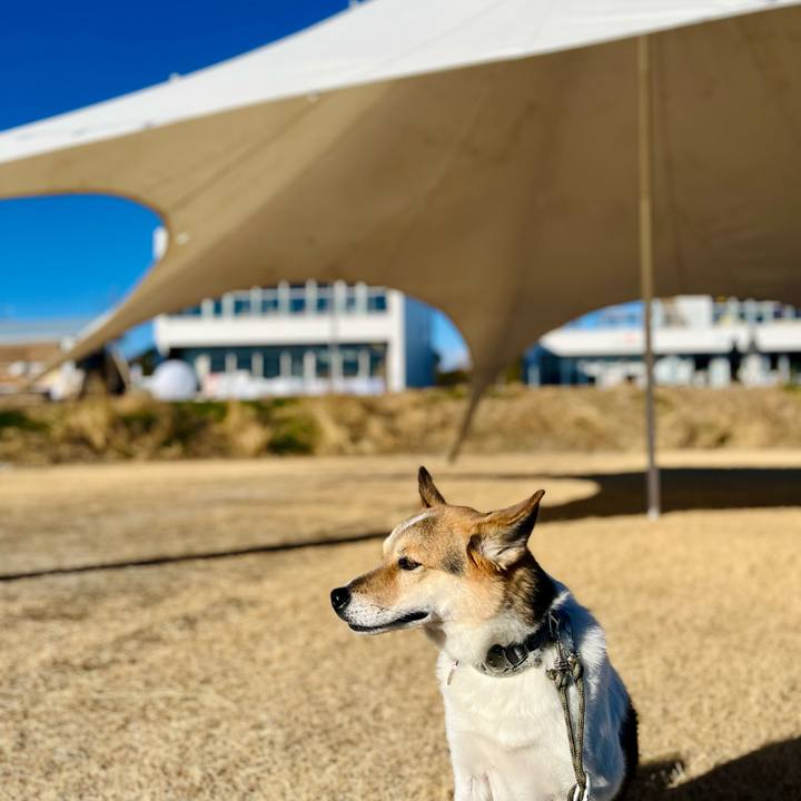 30d18a3e 91c8 45ef aa11 813690e048fd 1765791437735