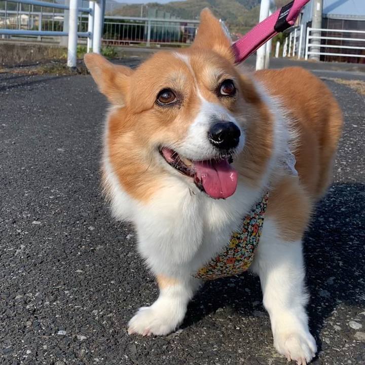 30d209c2 3356 4492 9827 5f0b71b0588c 1668834526259