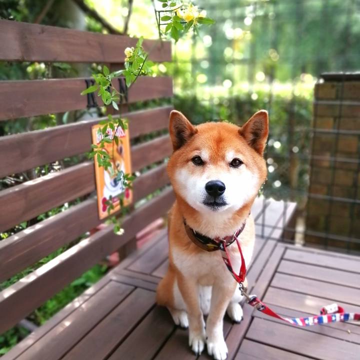 30d20a07 6fc2 4ac5 b346 bd52fb8e8784 1650501739791