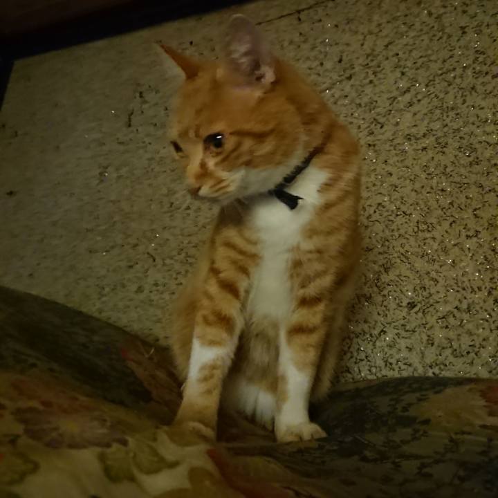 30d2180d 6063 43b8 bd99 d78dabd0e286 1602588683386