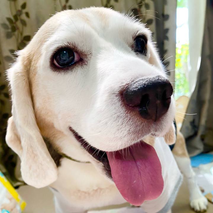 30d21b37 611a 4a79 813f cdaaea44dfaa 1661918890046