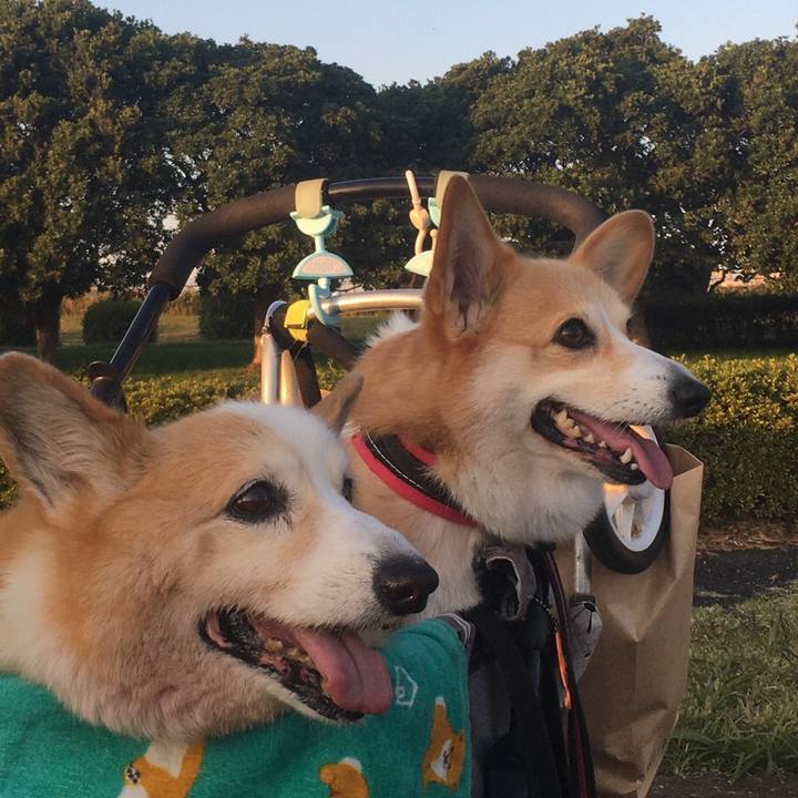 30d25569 d6c4 40a2 a92f c867cab6f156 1573291880041