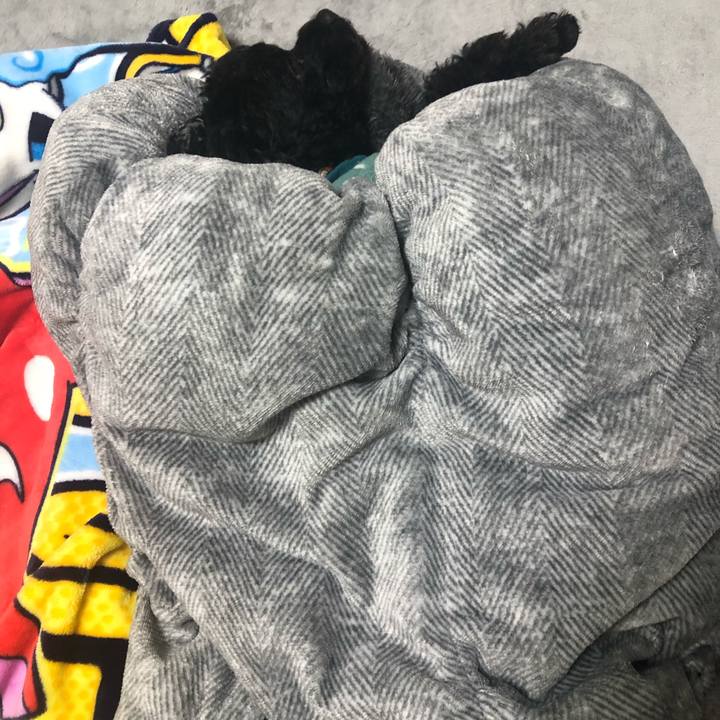 30d26e44 c5b2 440d 9d6c a8874e5fffb6 1605270956230