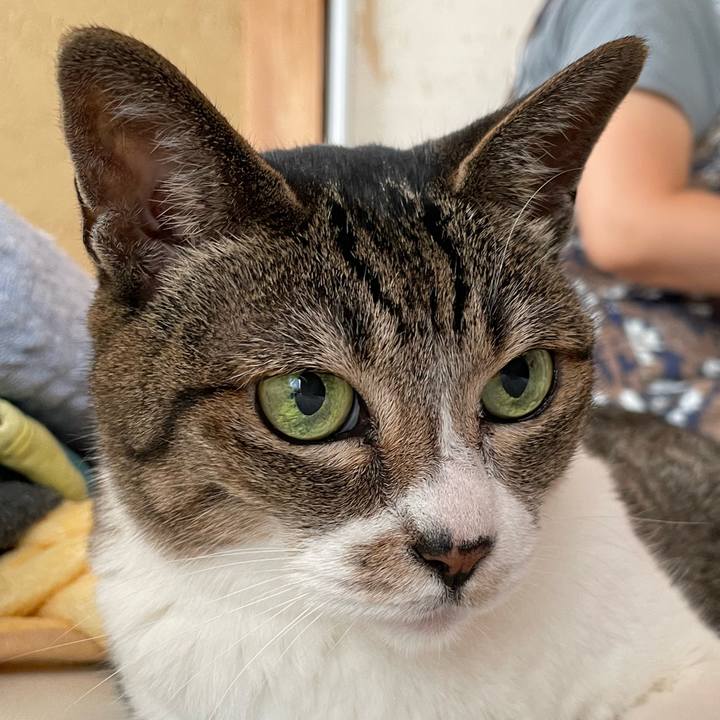 30d271d7 b31a 4956 a3c9 9eb8a6c2e6e6 1661653022556