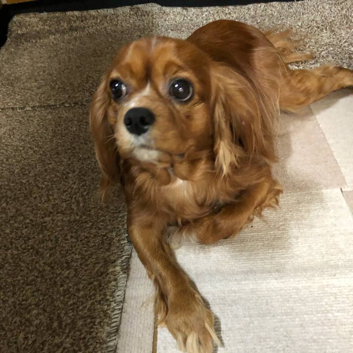 30d27221 a4c0 4a51 9294 e1712eaaeb83 1553055819542