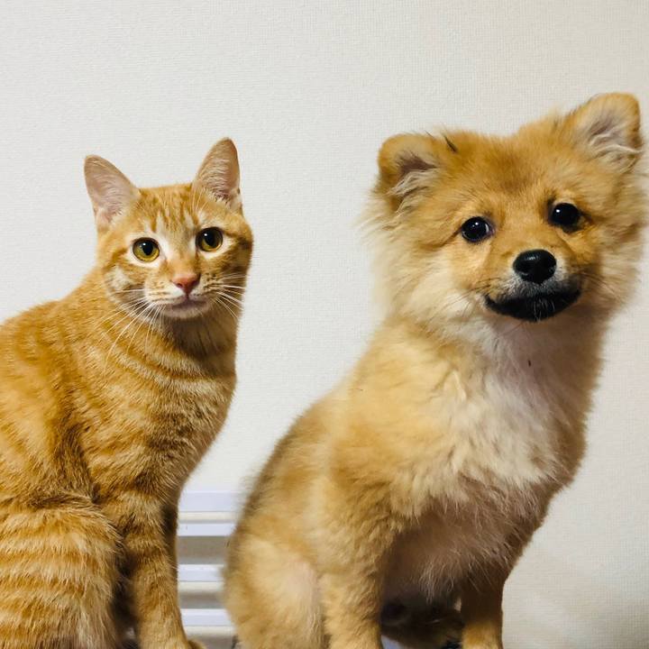 30d2749e c65c 40b0 8476 07617b68033a 1578230842632