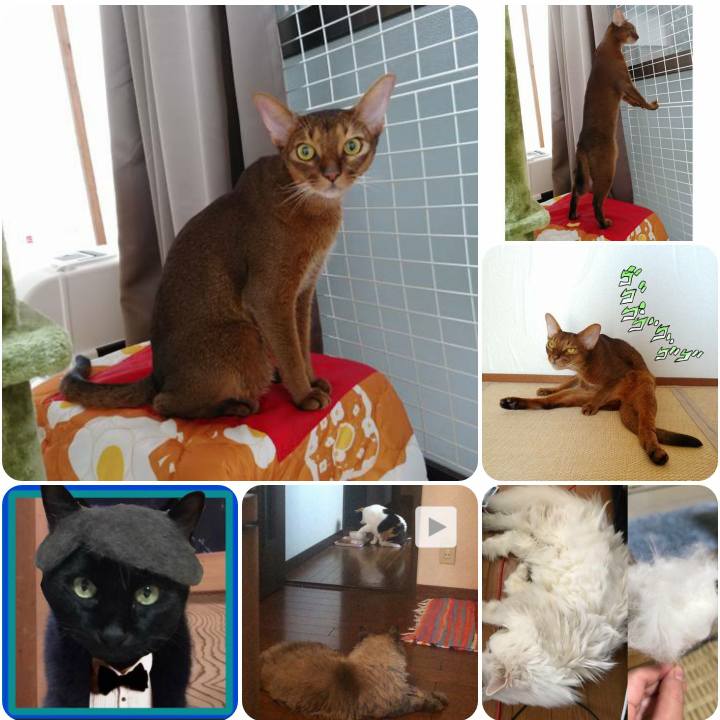 30d28729 3bc4 4386 8012 8341d693712e 1568193469405