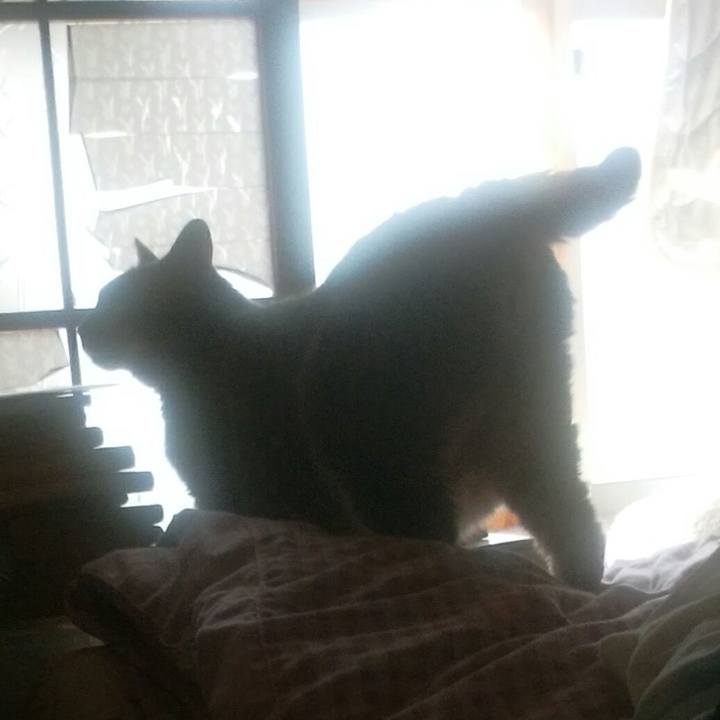 30d2bcb9 19ea 49c3 8b1e 23b27afeb15a 1558743358013