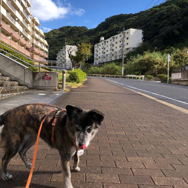 30d2f7bc ea9d 4656 8610 2570005c611f 1699852748123