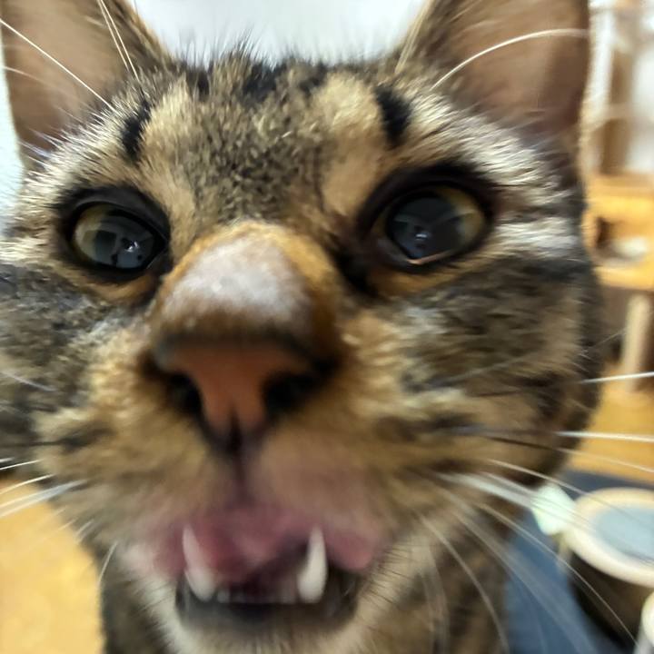 30d3057f b7d8 4118 b8c0 bf45d48fb089 1762254850857