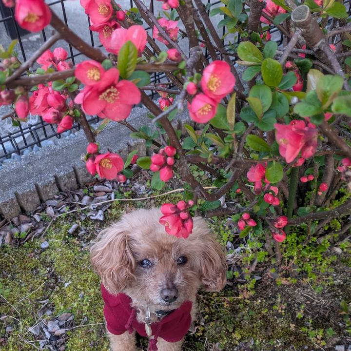 30d32fff ae14 44c5 94a8 9fd603bd98b9 1774259205224