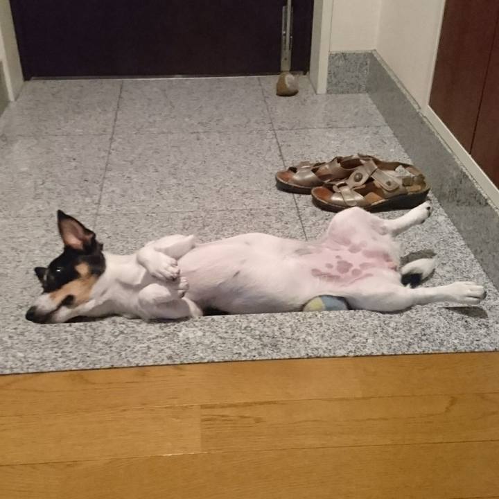 30d35114 9c47 412e 83dc 0a8266bf37ad 1532227655193