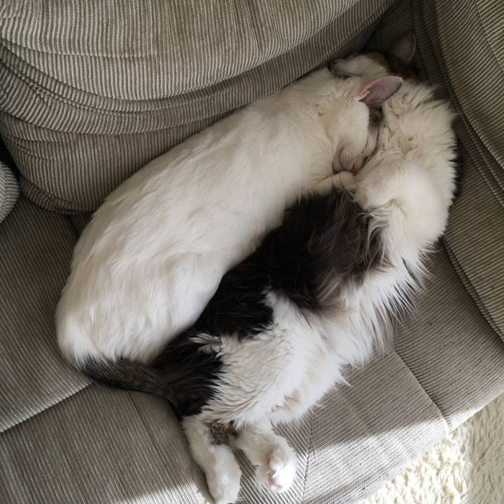 30d35c67 a84a 48ac 83ad bcdeb23afa71 1545190110481