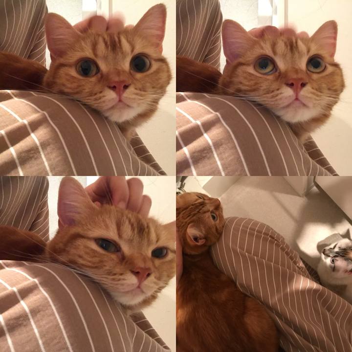 30d373d5 b7a5 4e11 b74b 426293f81722 1525692424037