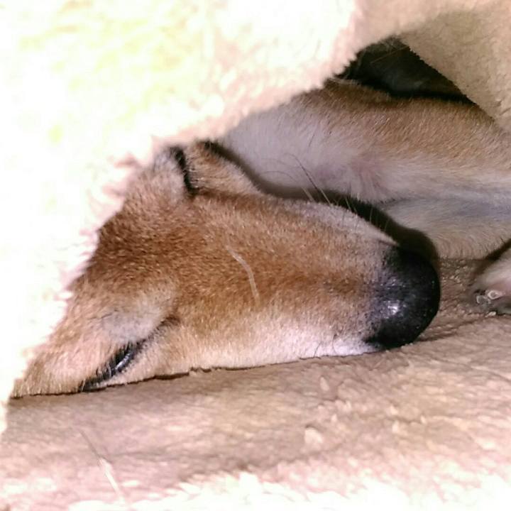 30d38f9c 03a6 4394 9d28 007347497d94 1570626943507