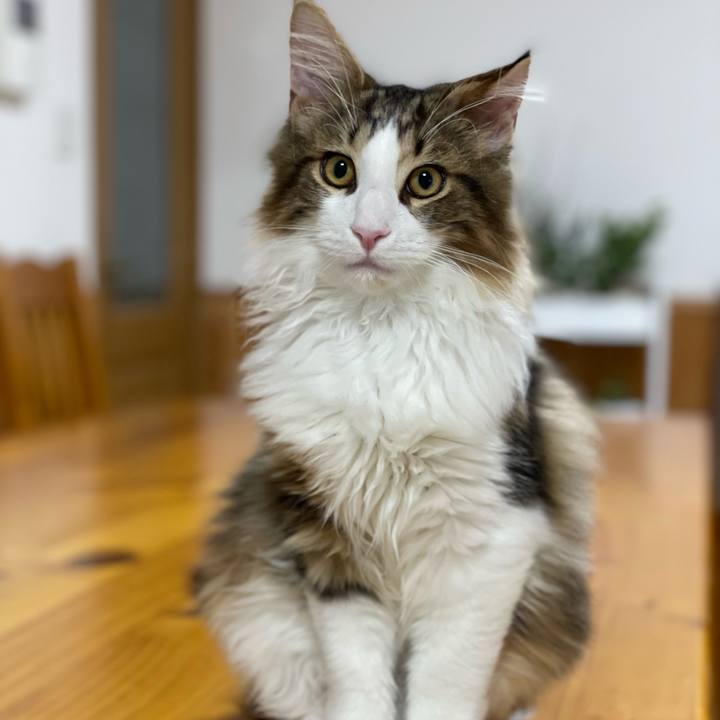 30d3c5df 0024 42c4 8996 c720473436cc 1637092695577