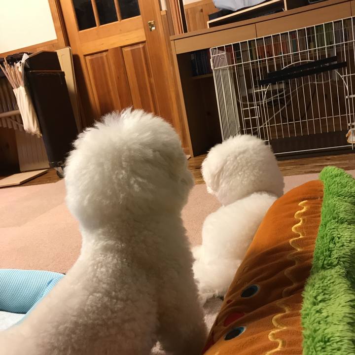 30d3cad6 31c4 4111 926d 5ad23dfc909d 1564398427105