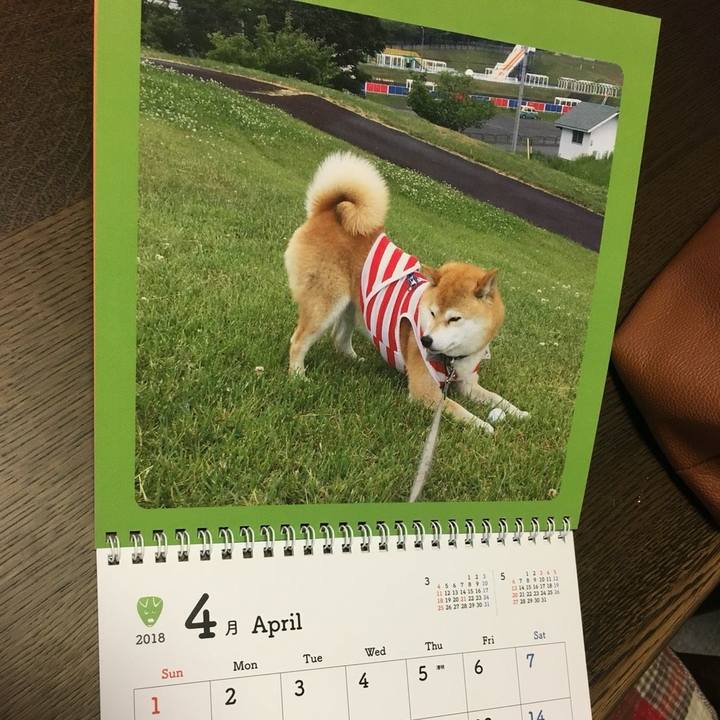 30d3ea8c f5fb 451a ba17 0cb65ef46800 1512718709738