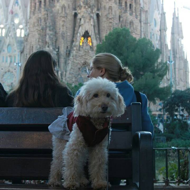 30d3f557 e2ee 4fe5 b1a3 48477a1857ed 1576429248621