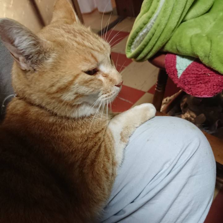 30d41af5 d9c4 48c8 a78a 51610b8e290f 1588626408089