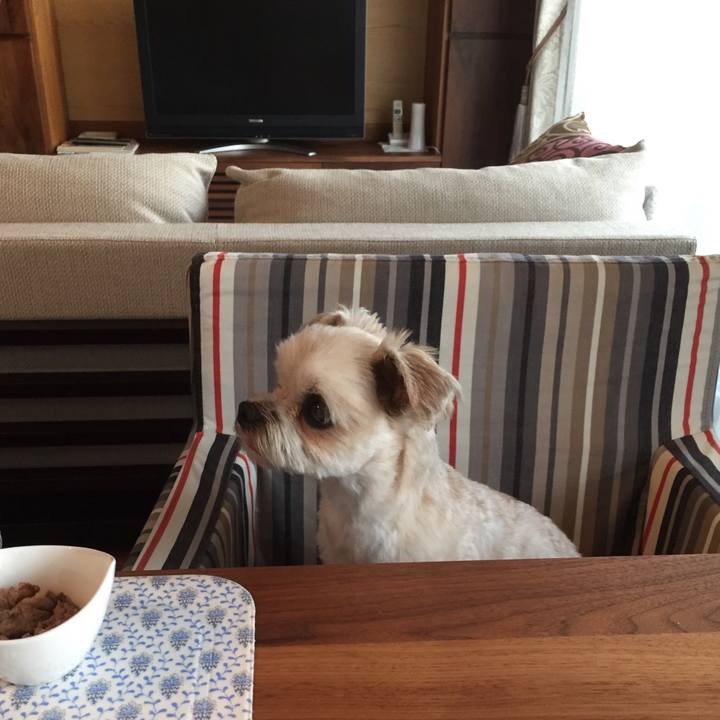 30d43f41 5d77 4bb8 b7c9 be9b1e3b47ef 1531735389414