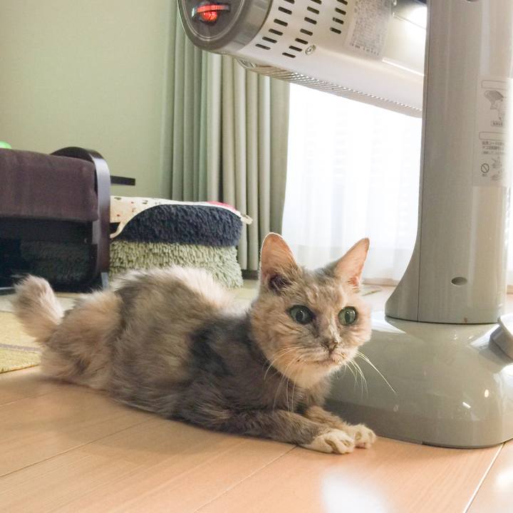 30d445e6 9afa 4fc8 a21a dd568df7f93c 1578095575955