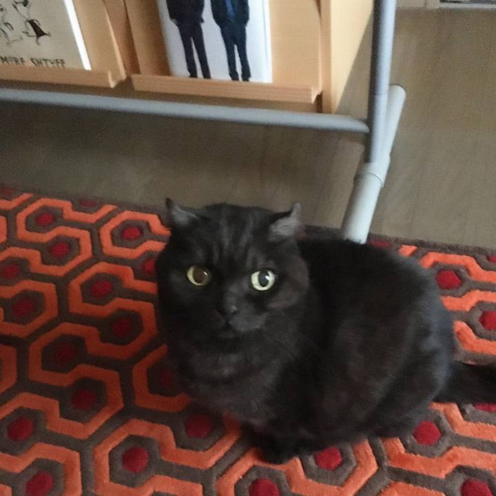 30d4bdb8 1662 4706 8659 20e8f13dc83d 1580885409955