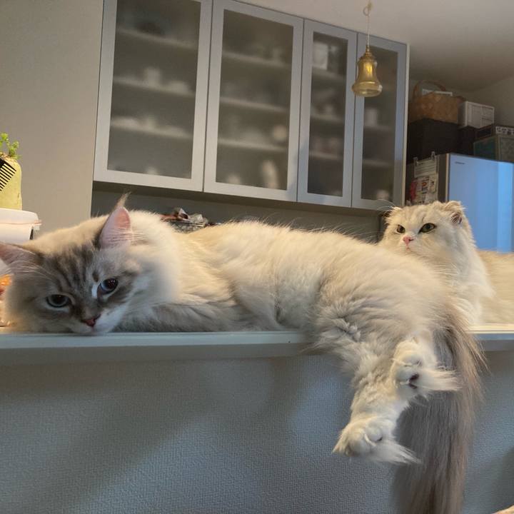 30d4c429 8bbc 40ac a5c1 1b1c22df8206 1691787604485