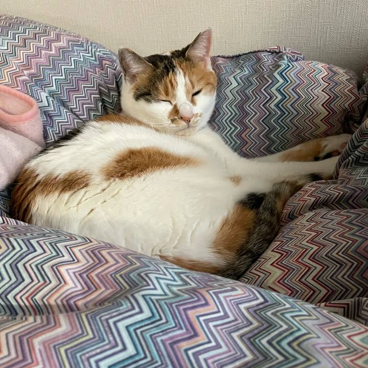 30d4c9d8 ff27 444f b31e e63d1110224e 1707226414933