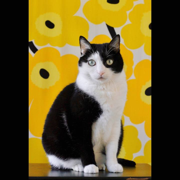 30d4e587 600c 4aea 819a fc06d3e0bd35 1670839085693