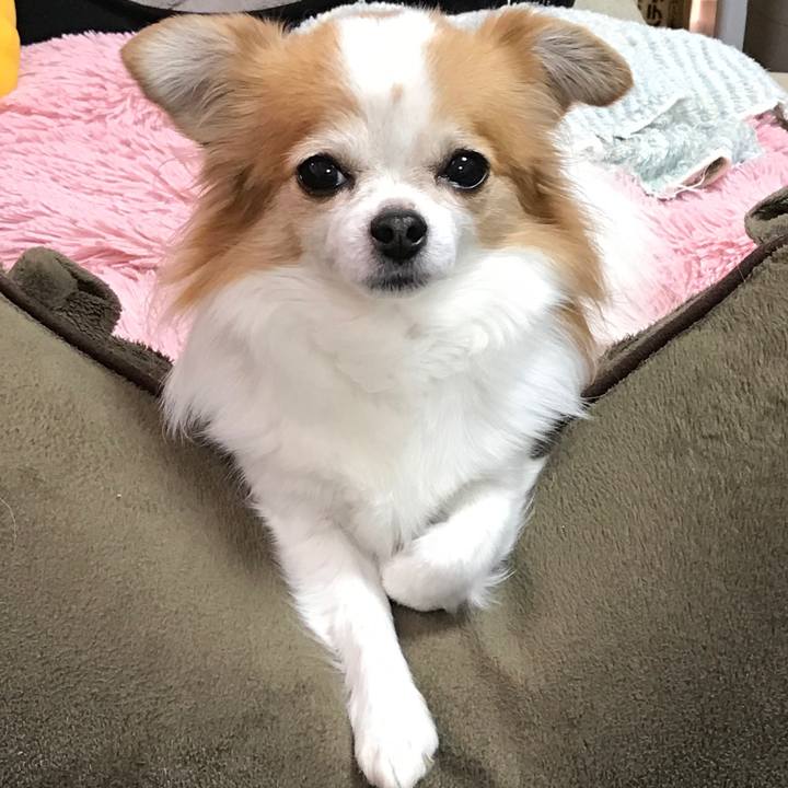 30d5499a bbbb 4ab9 90a0 57a3d061026f 1587805477952