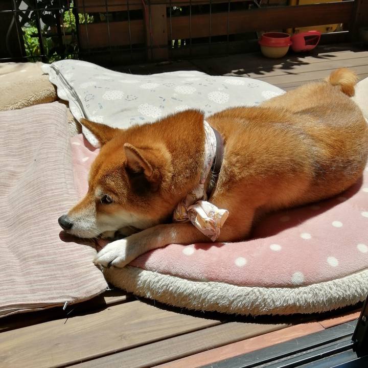 30d5a6c3 ff44 4cfd 9a37 0135985b2d46 1625889911246