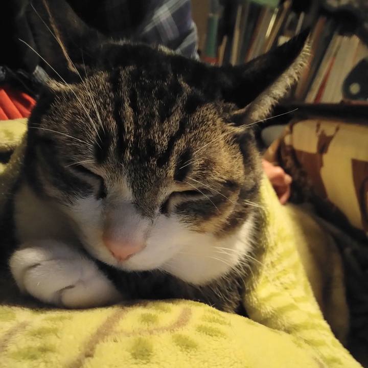 30d5abb3 d2e0 495d 93ce 19ad9d9ec996 1646913444410